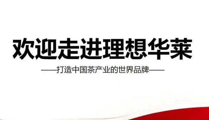 理想华莱公司的商业模式分析，轻松开启零门槛副业