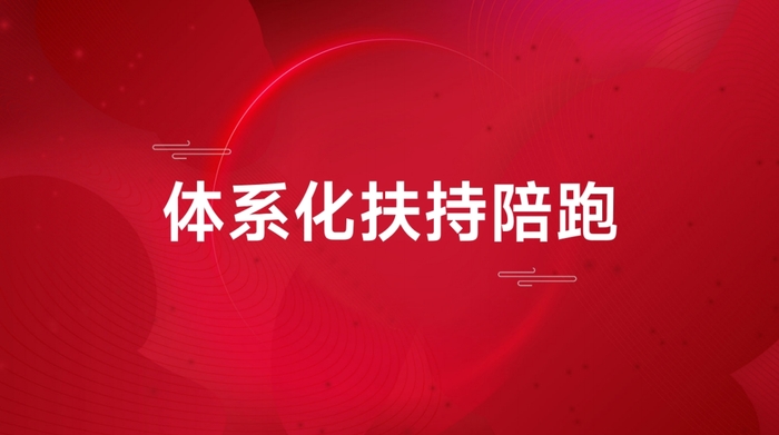 双迪体系化扶持陪跑：助力创业者成功